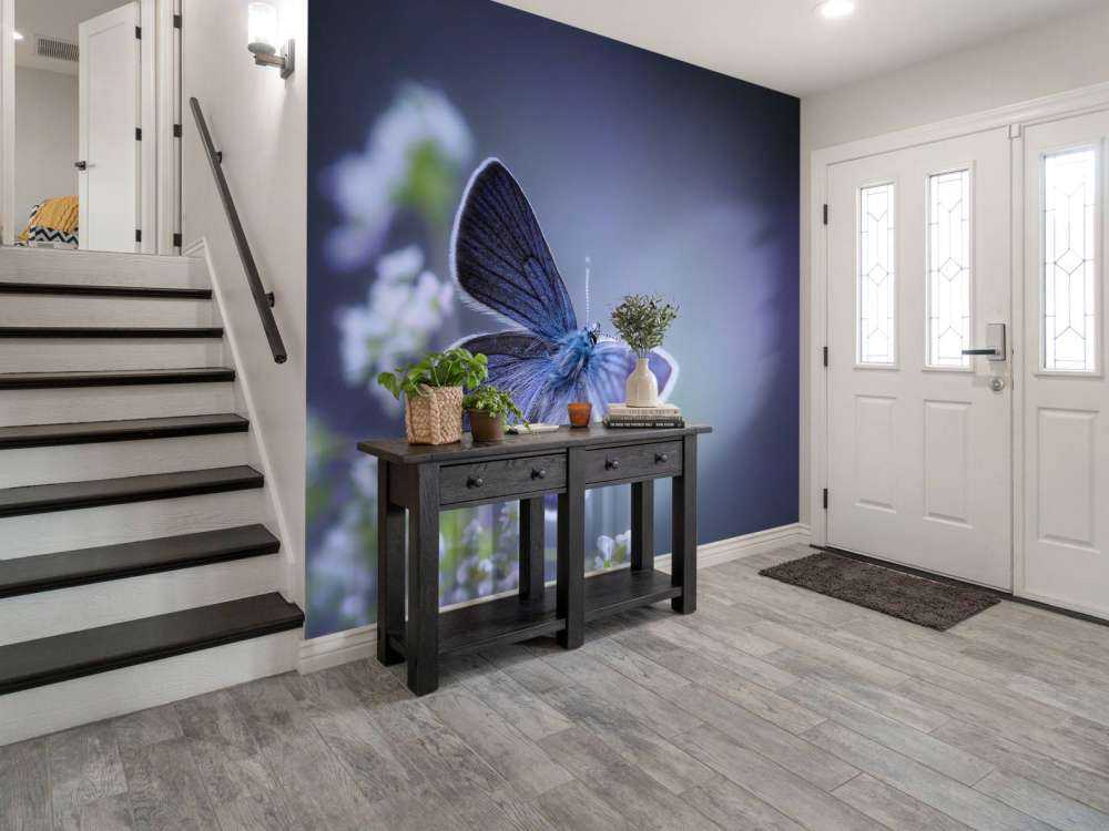 Papillon bleu