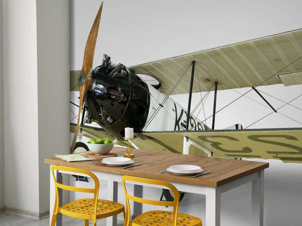 Ancien avion FK 23 Bantam