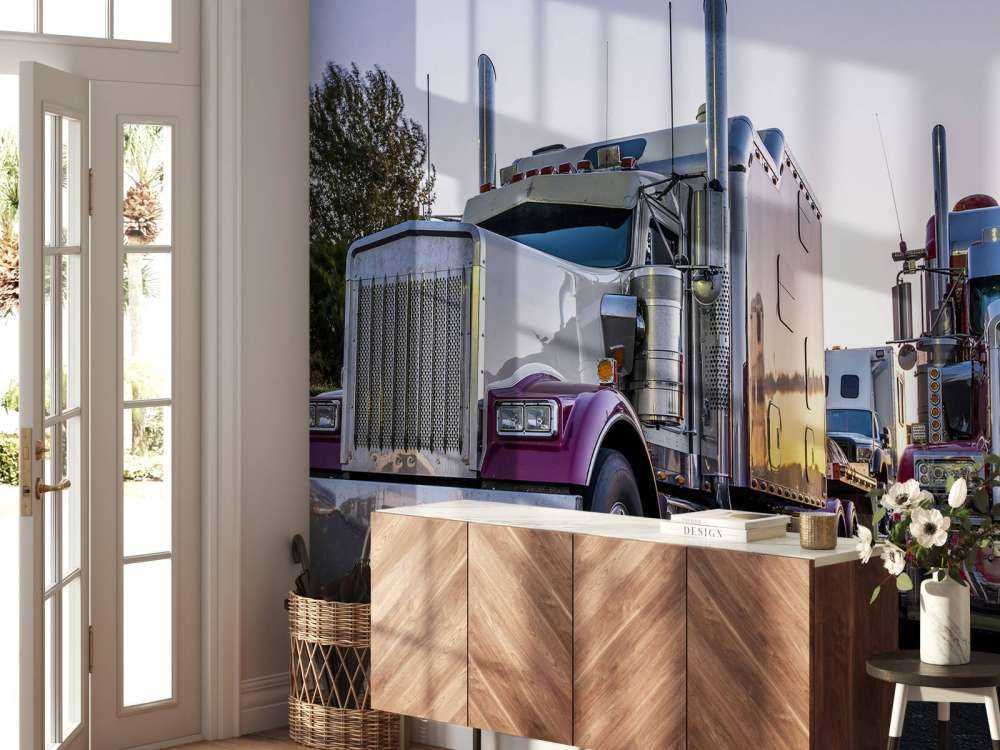 Camions classiques