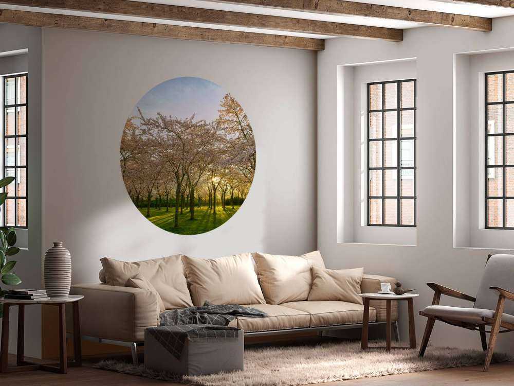 Arbres à fleurs