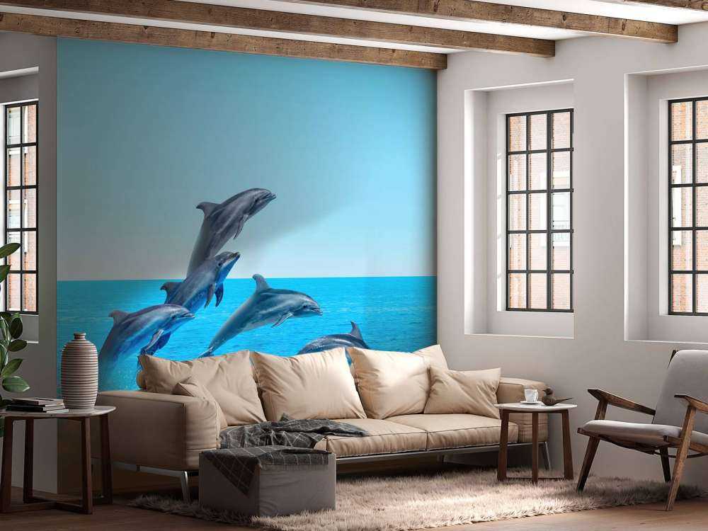 Dauphins sauteurs