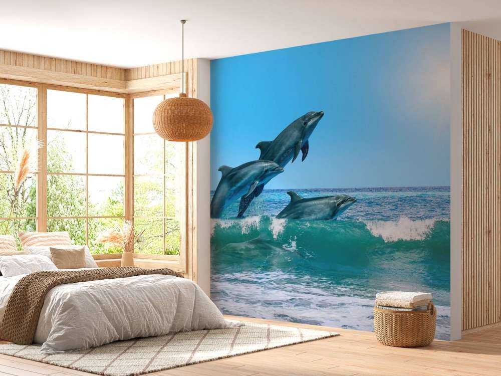 Dauphins sur la côte
