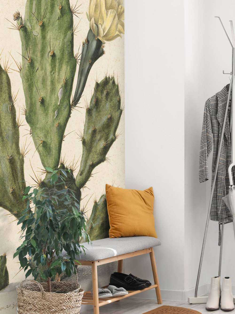 Cactus figuier à fleurs