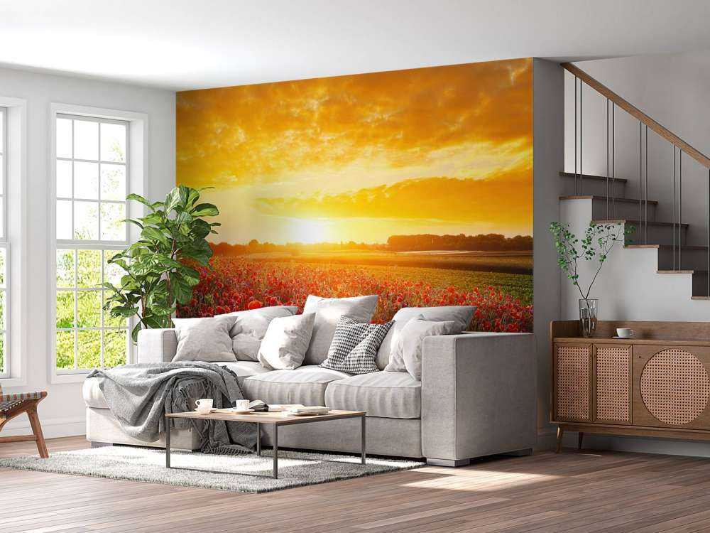 Coquelicots et coucher de soleil
