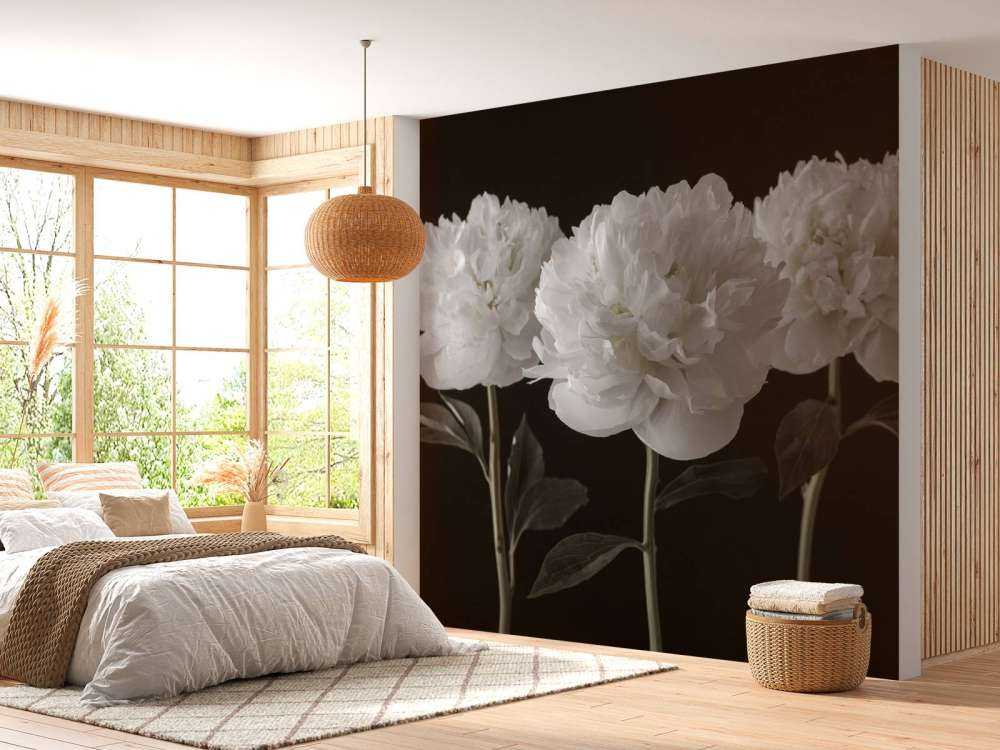 Trois pivoines blanches
