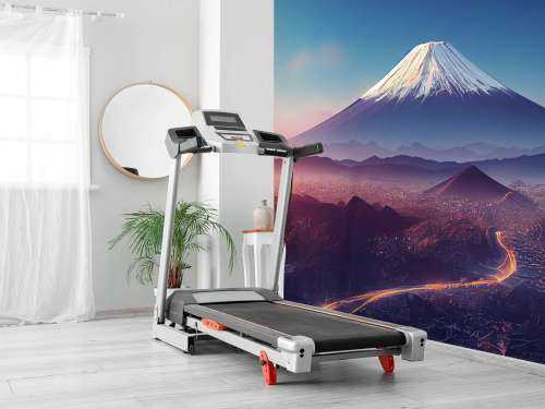 Le Mont Fuji