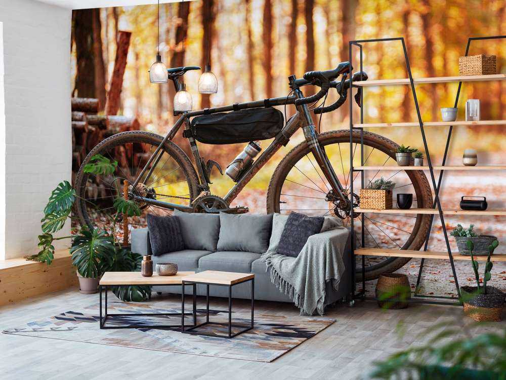 Vélo en automne