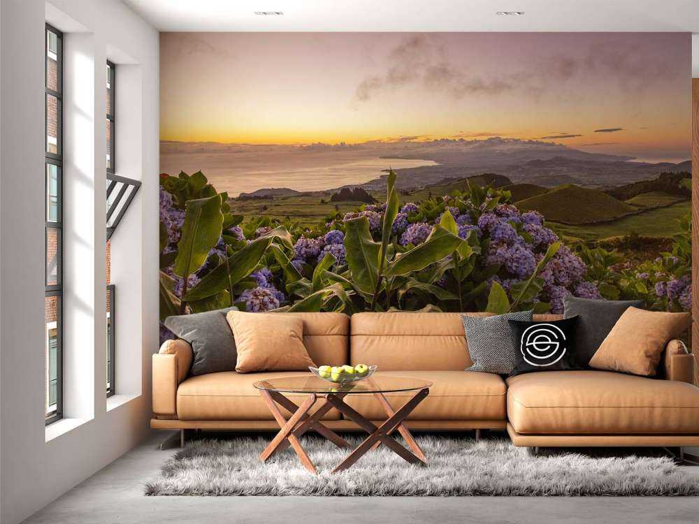 Coucher de soleil avec des hortensias