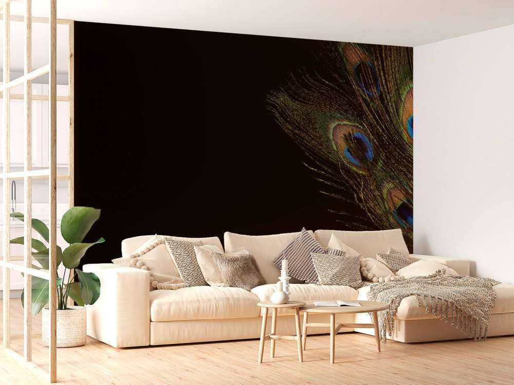 Plume de paon colorée