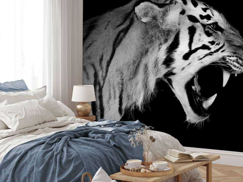 Tigre rugissant noir