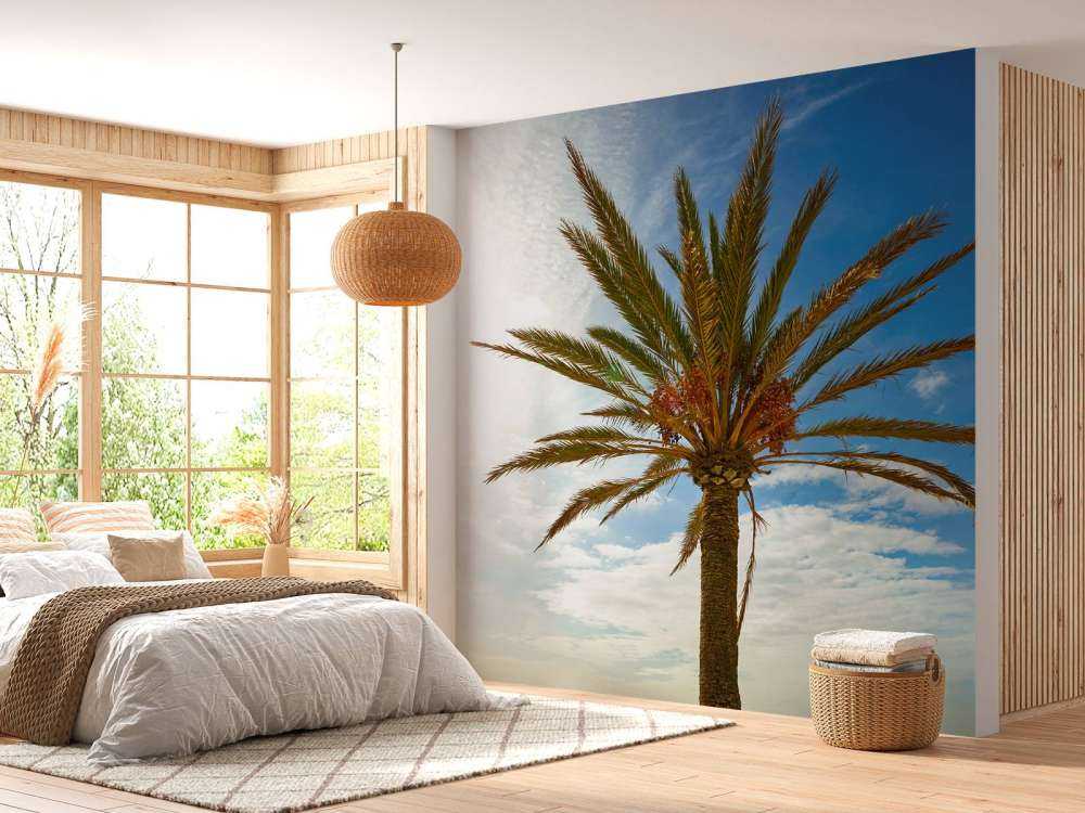 Un beau palmier