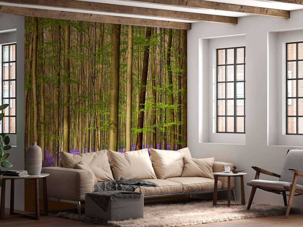 Forêt avec jacinthes des bois