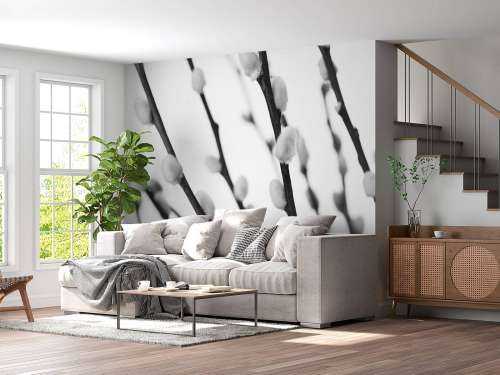 Saule noir et blanc