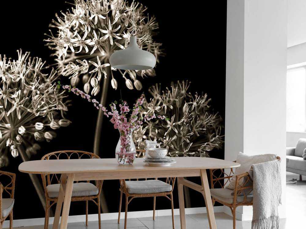 Trois alliums