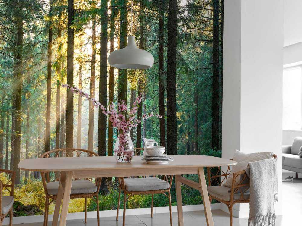 Une forêt tranquille