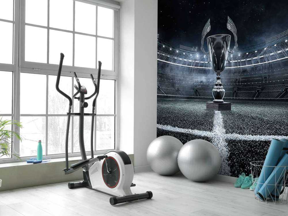 Coupe dans un stade