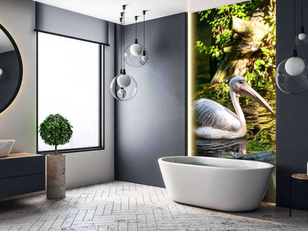 Pélican sur la rivière