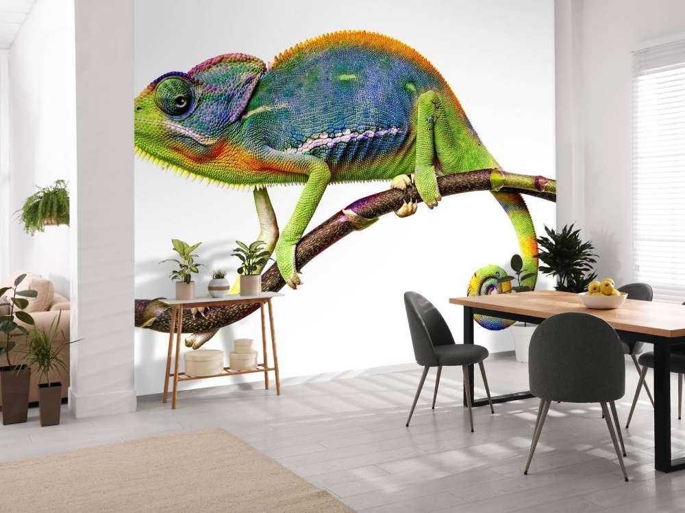 Caméléon