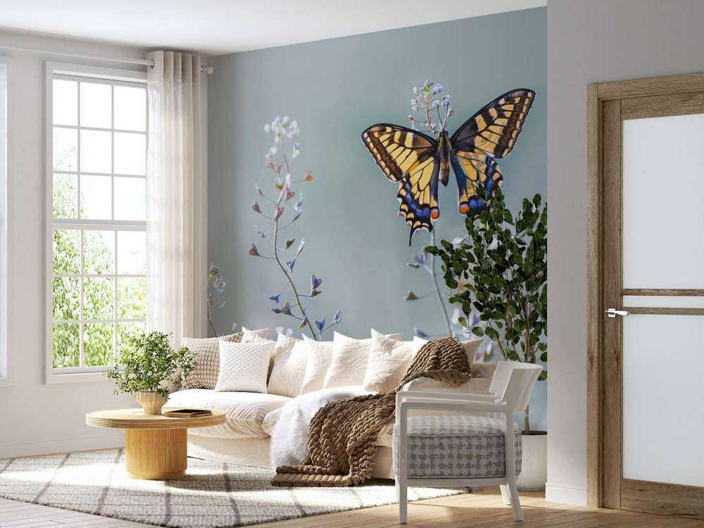 Swallowtail beauty