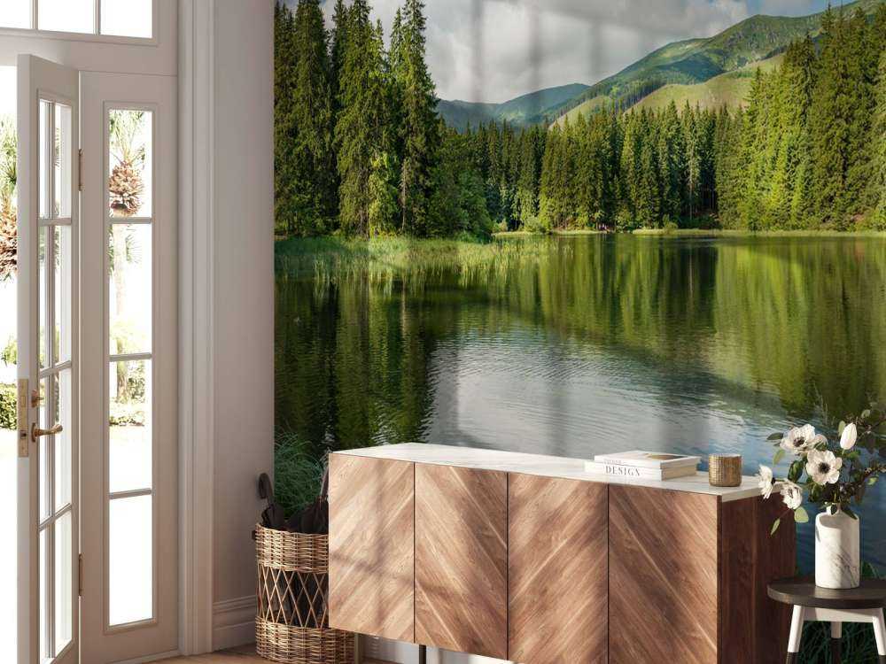 Lac dans la forêt