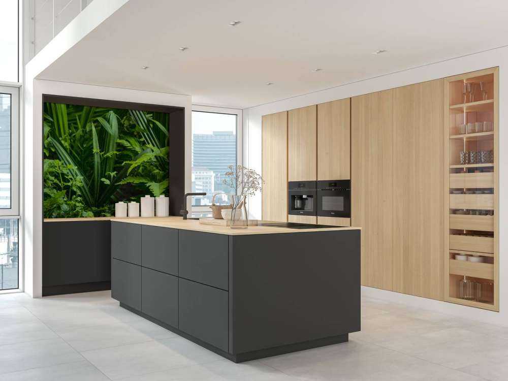 Panorama avec des plantes