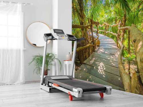 Pont dans la jungle tropicale