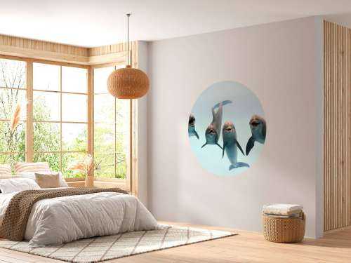Dauphins rieurs