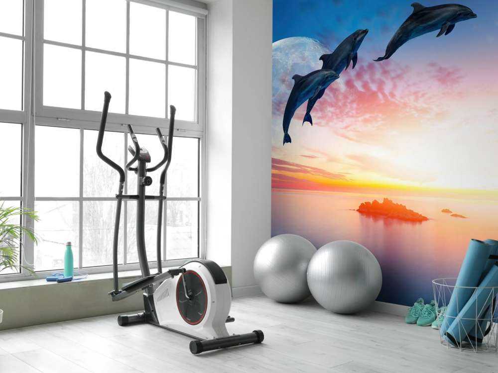 Les dauphins en pleine nuit