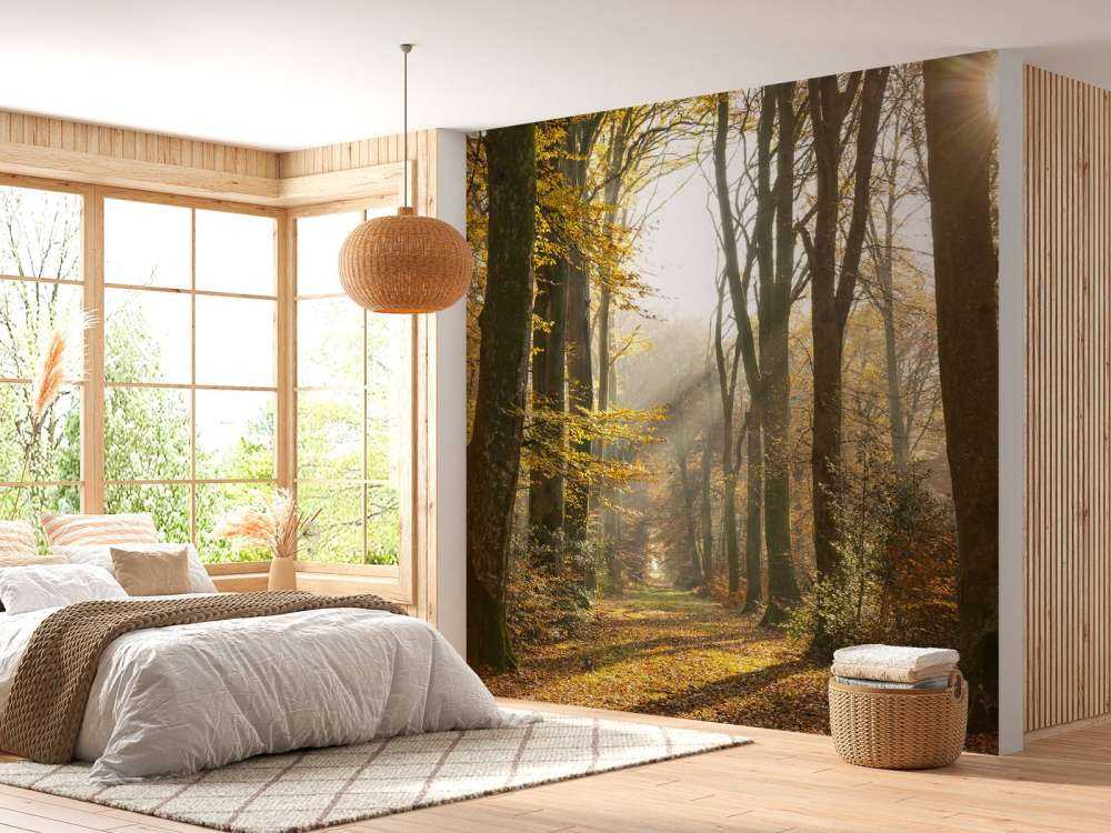 La forêt de Crécy