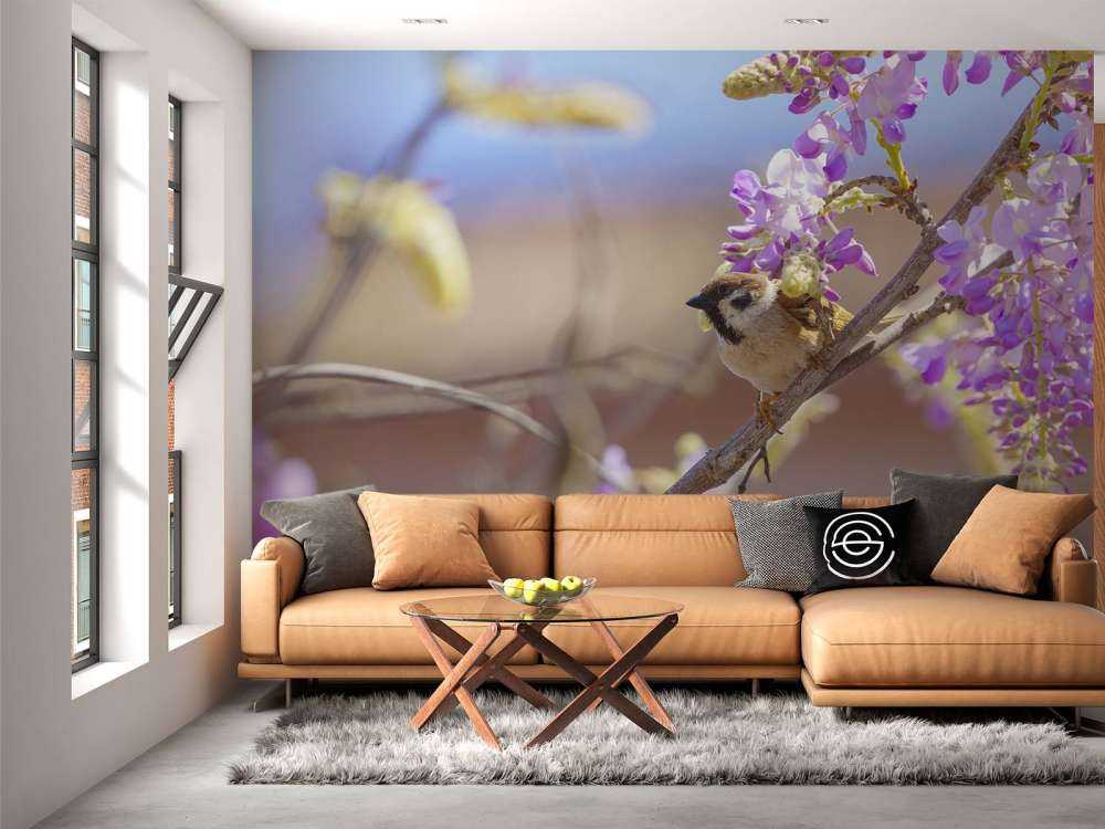 Moineau et fleurs violettes