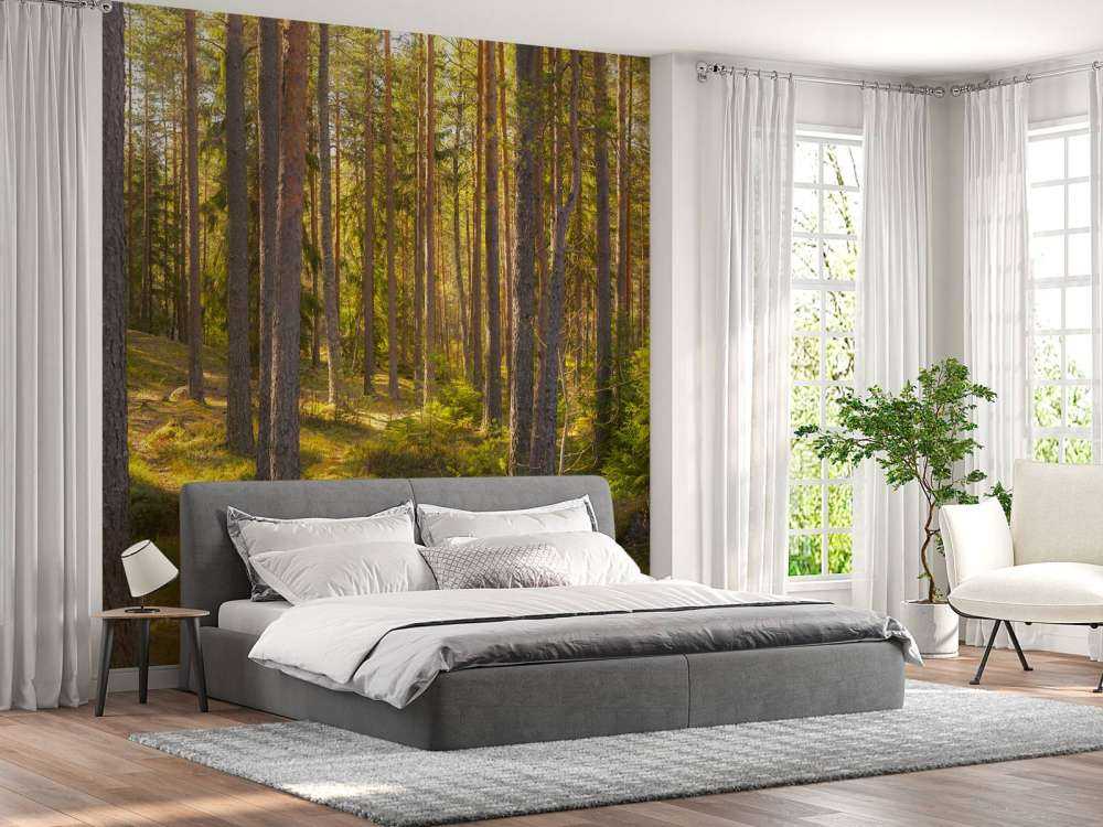 Forêt en été