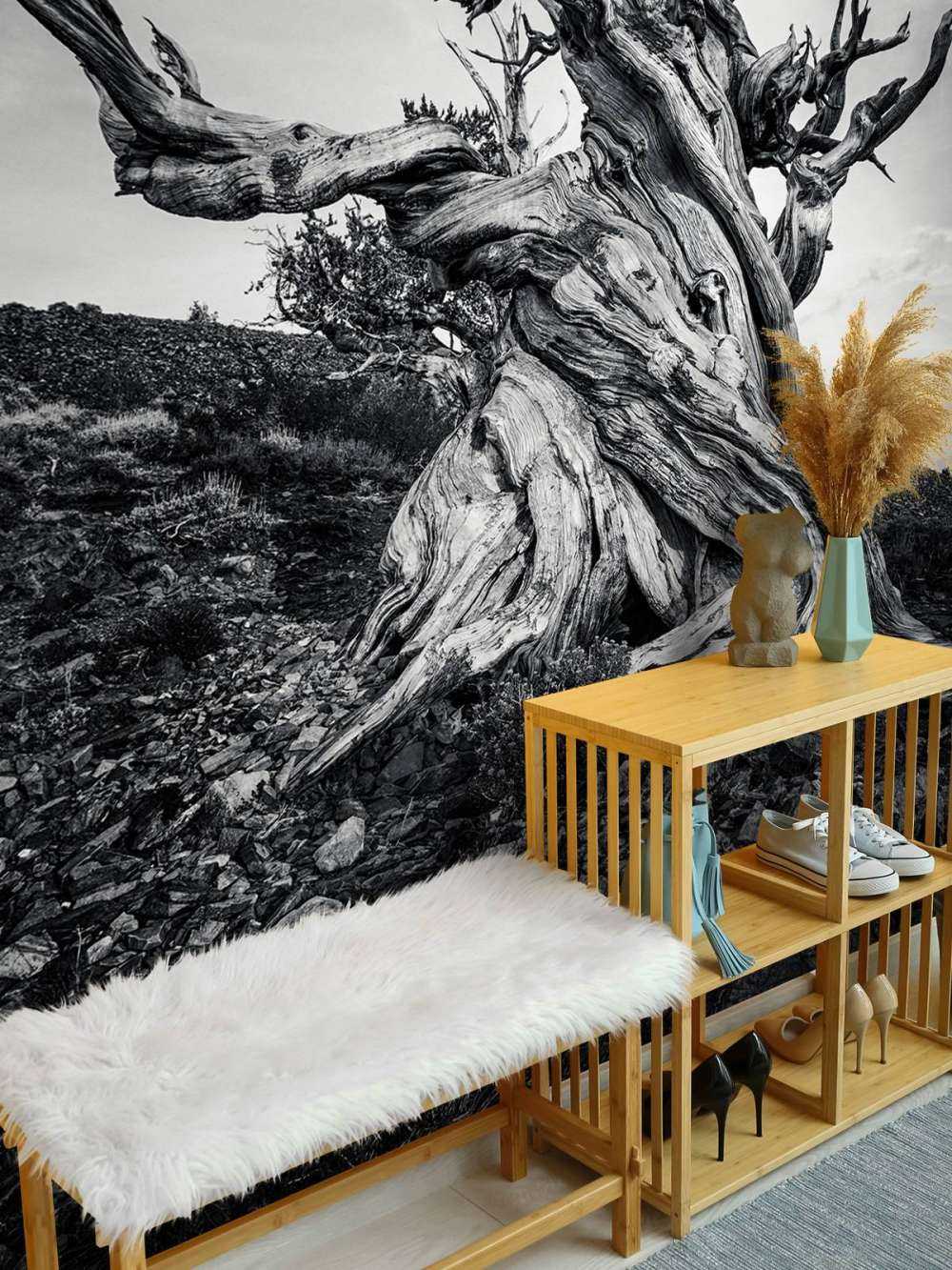 L'arbre Methuselah