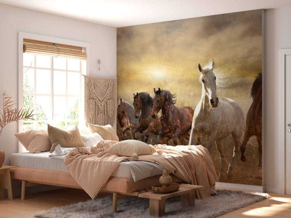 Chevaux au galop au coucher du soleil