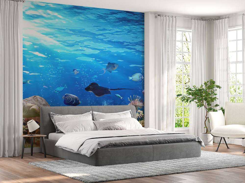 Poissons exotiques