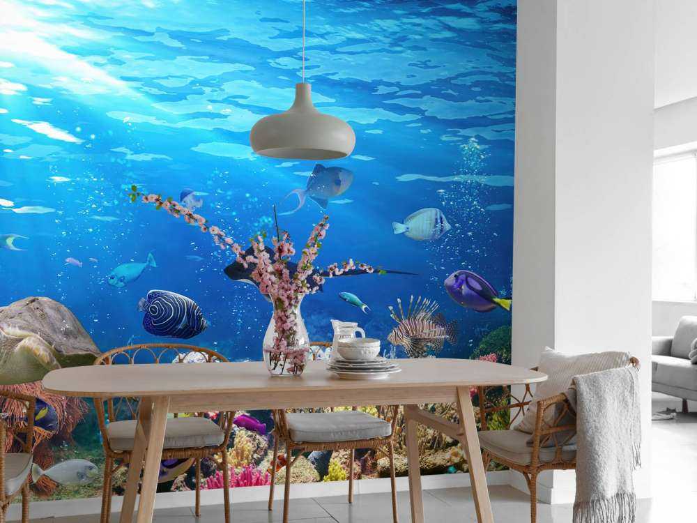Poissons exotiques