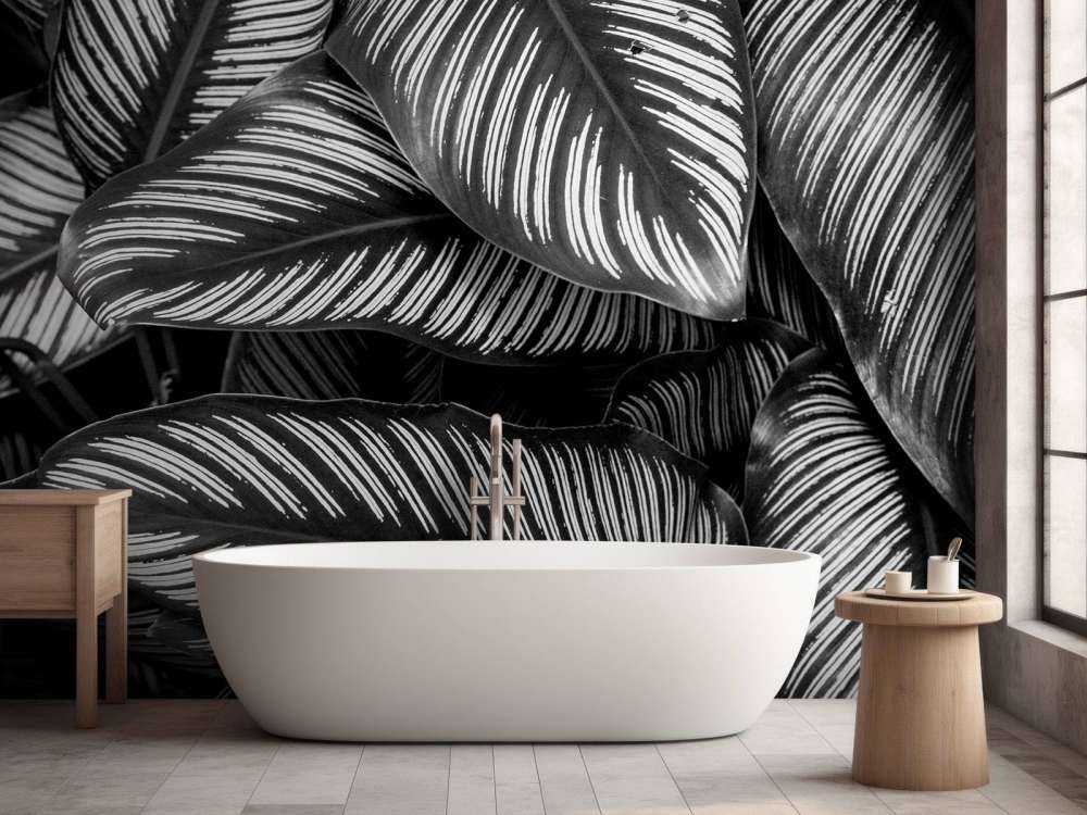 Feuilles de palmier noires et blanches