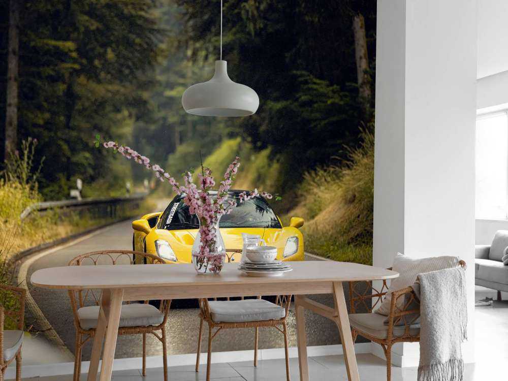 Maserati dans la forêt verte