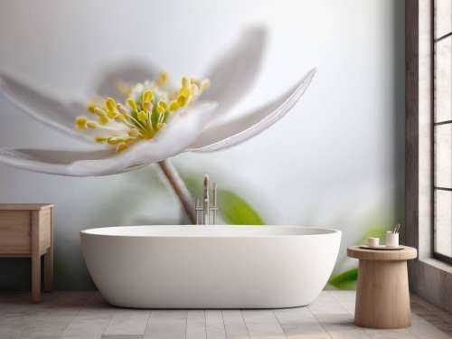 Wood Anemone