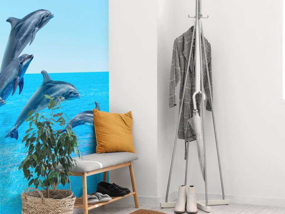 Dauphins sauteurs