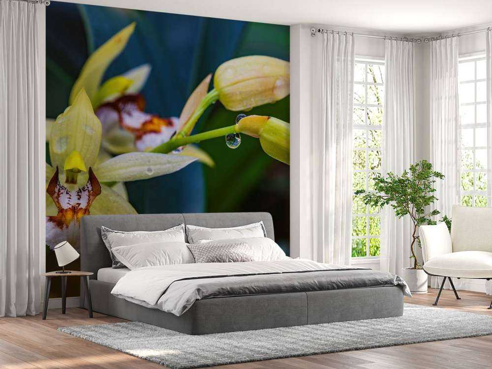 Orchidée jaune sauvage