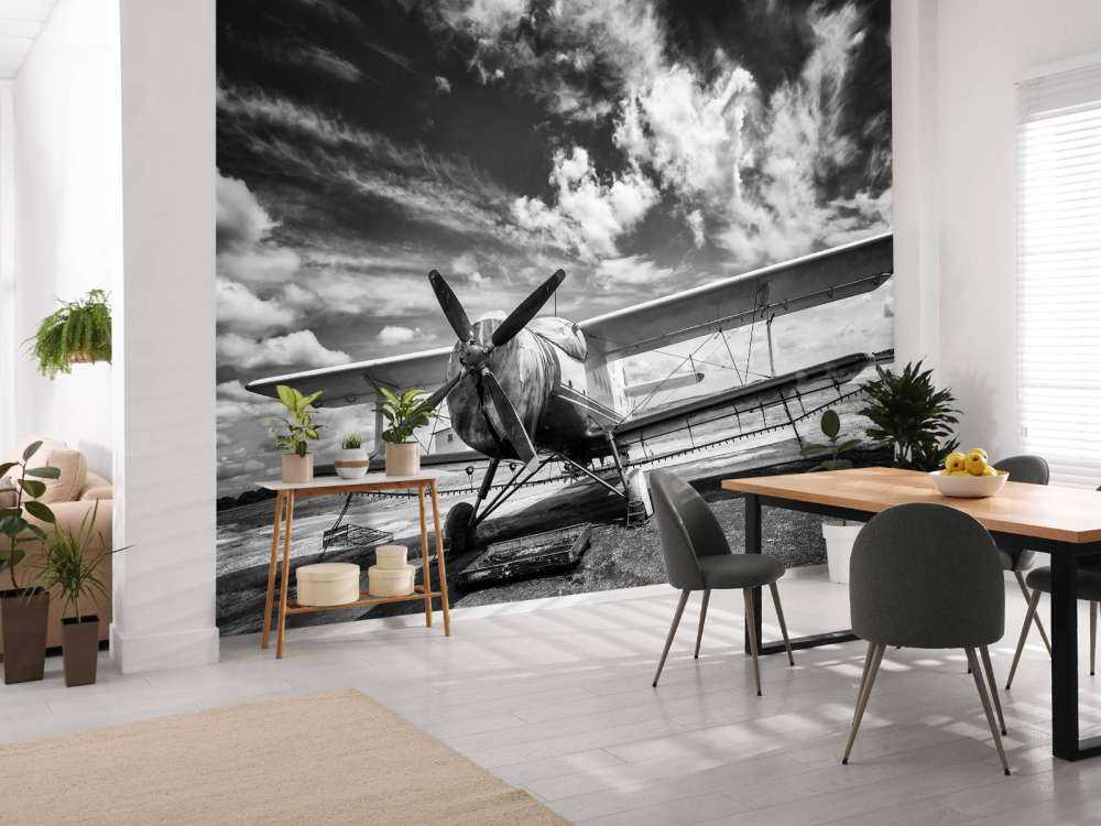 Avion classique