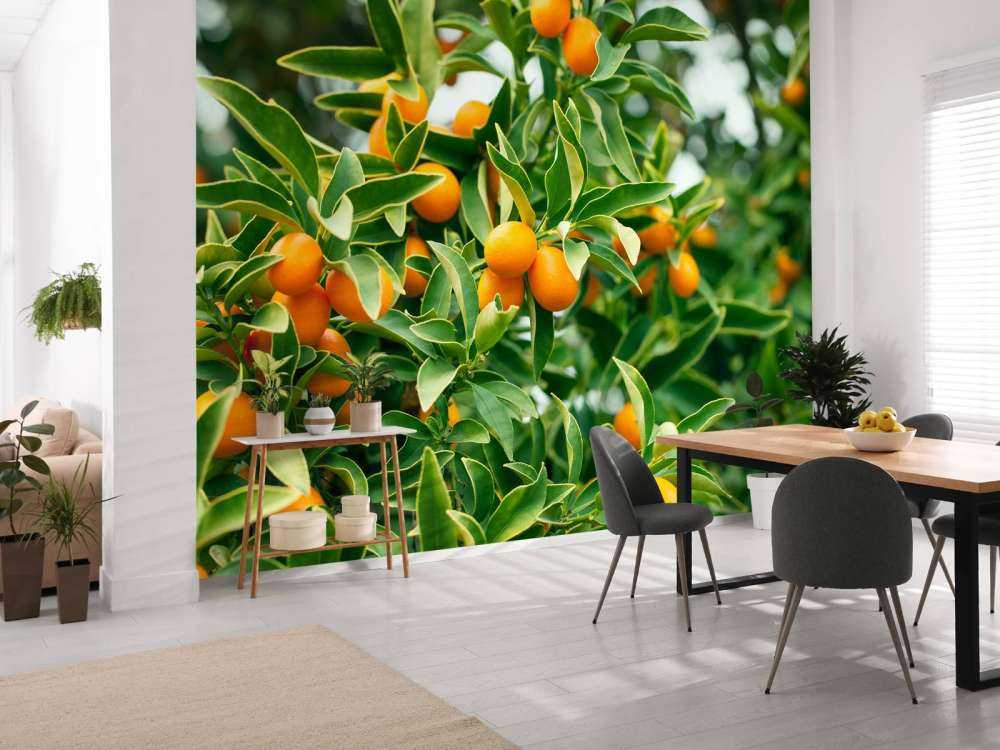 Arbre fruitier