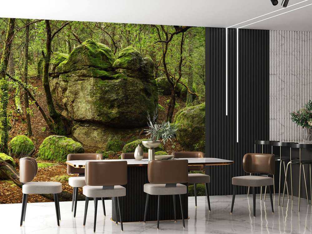 Forêt enchantée