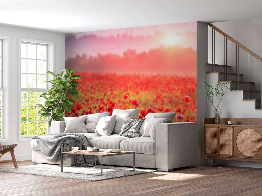 Champ plein de coquelicots