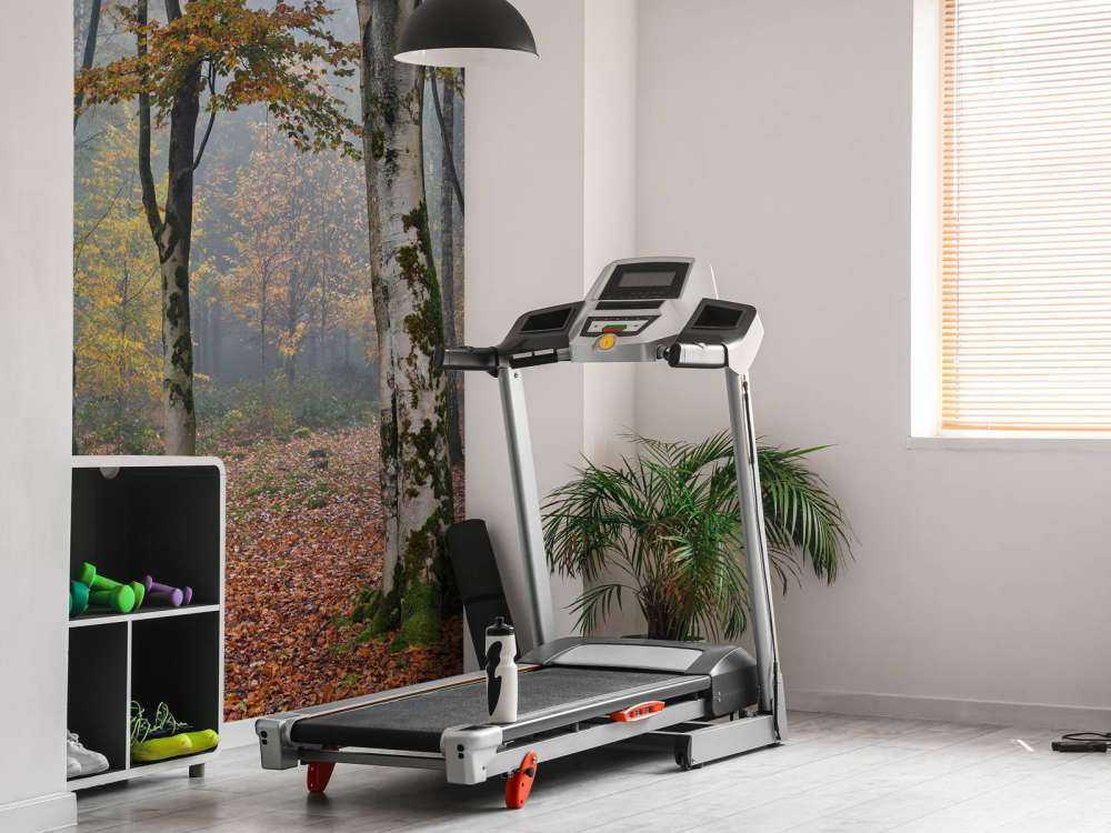 Forêt de bouleaux en automne