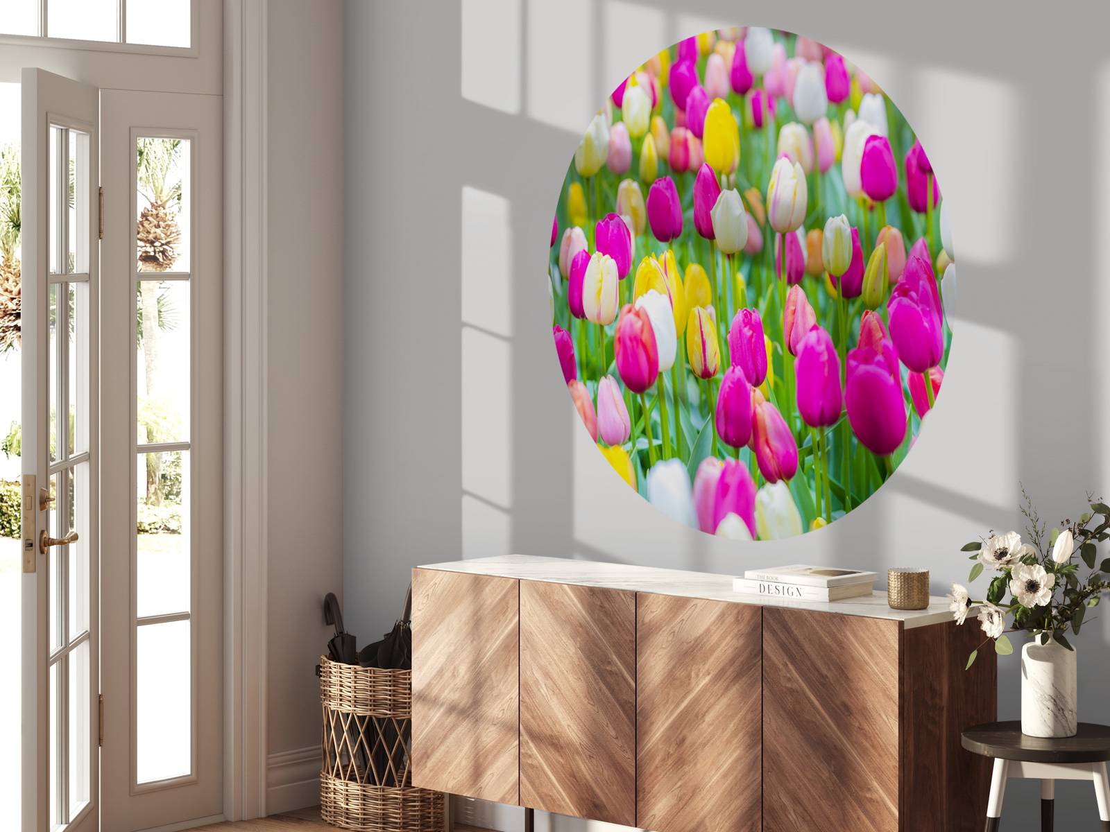 Tulipes multicolores dans un champ