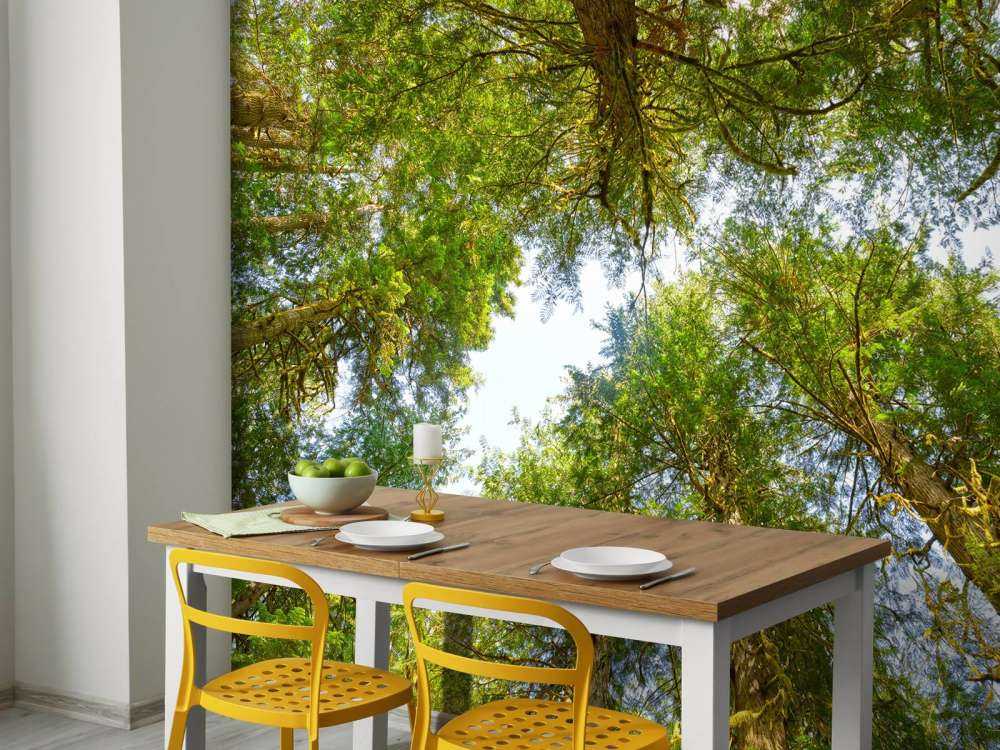 Arbres et feuilles