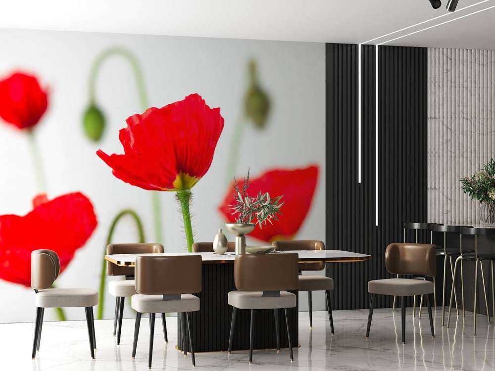 Coquelicots en gros plan