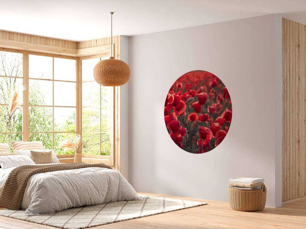 Des coquelicots dans un style sombre