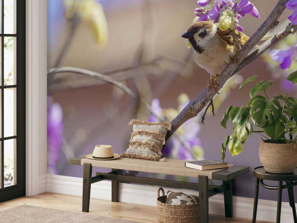 Moineau et fleurs violettes